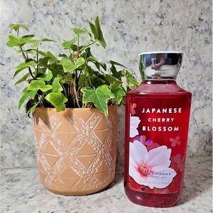 Bath & Body Works Japanese Cherry‎ Blossom Body Wash Women Body NEW